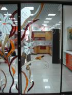 DSC00919.jpg