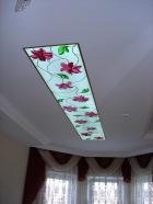 DSC01498.jpg