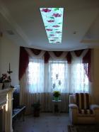 DSC01500.jpg